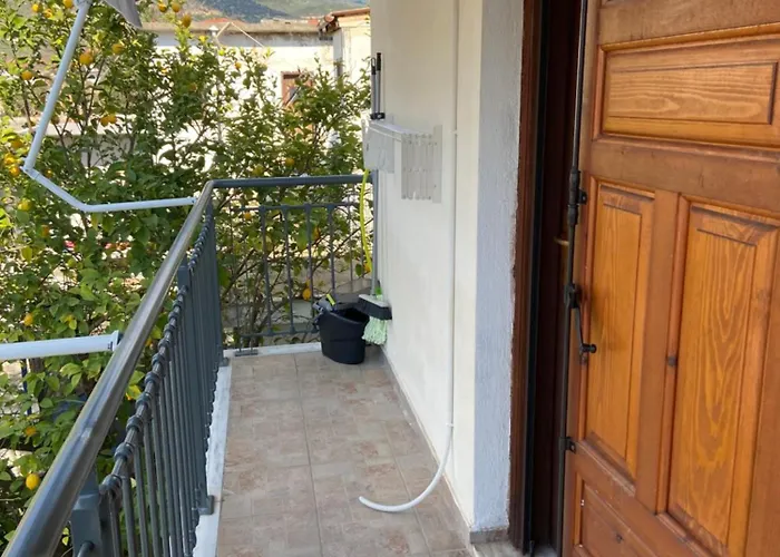 Zoya 's 아파트 아기라