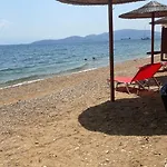 Zoya 's * Agria