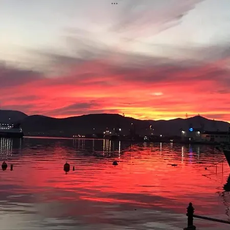 Zoya 's 아기라